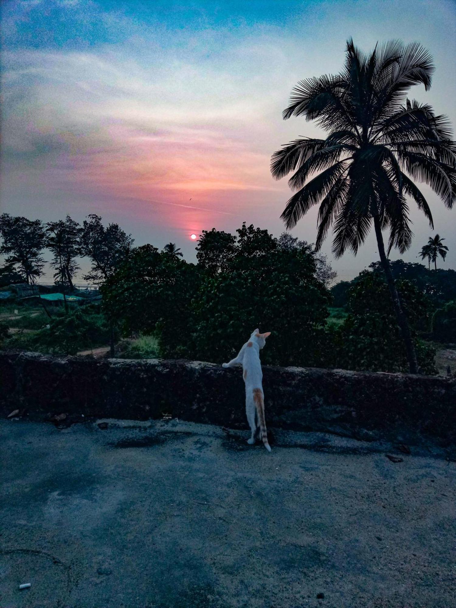 Dreamcatcher House & Hostel At Arambol Beach Exterior foto